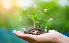 environnement