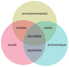 le développement durable définition