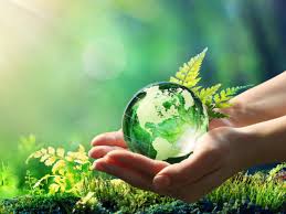 développement durable écologie