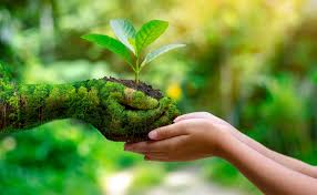 écologie et développement durable