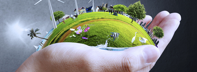 environnement développement durable