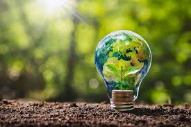 ecologie environnement developpement durable