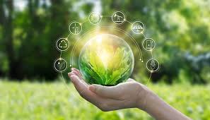 www developpement durable