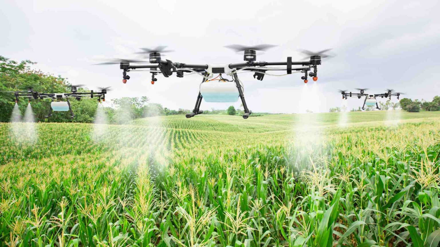 drone pulvérisateur